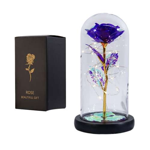 Vianys Eternal Rose