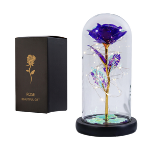 Vianys Eternal Rose