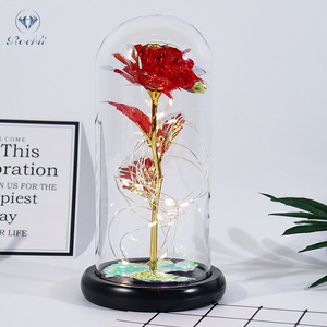 Vianys Eternal Rose