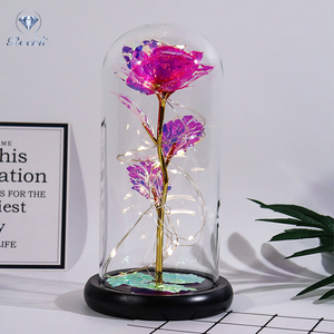 Vianys Eternal Rose