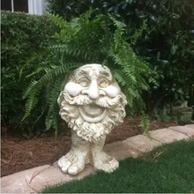 Load image into Gallery viewer, Vianys Joy Planter