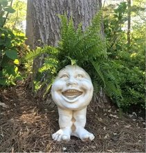 Load image into Gallery viewer, Vianys Joy Planter