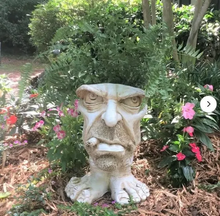 Load image into Gallery viewer, Vianys Joy Planter