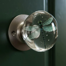 Load image into Gallery viewer, Vianys NatureNest Crystal Knob