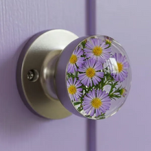 Load image into Gallery viewer, Vianys NatureNest Crystal Knob